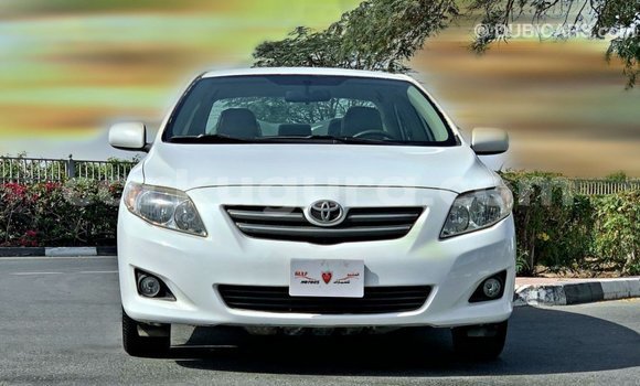 Nunua Imported Toyota Corolla Nyeupe Gari ndani ya Import - Dubai nchini Bujumbura Nunua Imported Toyota Corolla Nyeupe Gari ndani ya Import - Dubai nchini Bujumbura