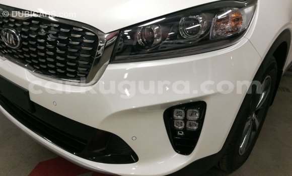 Buy Import Kia Sorento White Car in Import - Dubai in Bujumbura Buy Import Kia Sorento White Car in Import - Dubai in Bujumbura