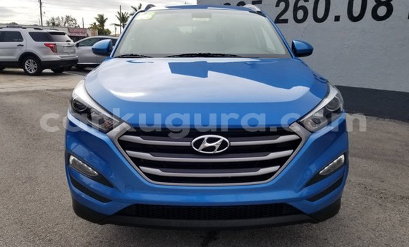 Nunua Ilio tumika Hyundai Tucson Bluu Gari ndani ya Bururi nchini Burundi Nunua Ilio tumika Hyundai Tucson Bluu Gari ndani ya Bururi nchini Burundi