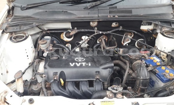 Nunua Ilio tumika Toyota Probox Nyeupe Gari ndani ya Bujumbura nchini Bujumbura Nunua Ilio tumika Toyota Probox Nyeupe Gari ndani ya Bujumbura nchini Bujumbura