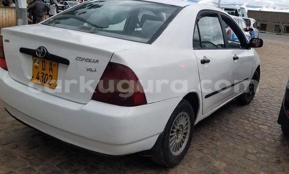 Acheter Occasion Voiture Toyota Corolla Blanc à Bujumbura, Bujumbura Acheter Occasion Voiture Toyota Corolla Blanc à Bujumbura, Bujumbura