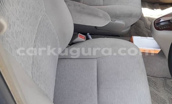 Nunua Ilio tumika Toyota Spacio Beige Gari ndani ya Bujumbura nchini Bujumbura Nunua Ilio tumika Toyota Spacio Beige Gari ndani ya Bujumbura nchini Bujumbura