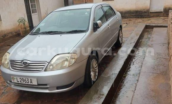Acheter Occasion Voiture Toyota Corolla Gris à Bujumbura, Bujumbura Acheter Occasion Voiture Toyota Corolla Gris à Bujumbura, Bujumbura