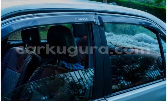 Buy Used Coggiola T Rex Other Car in Bujumbura in Bujumbura Buy Used Coggiola T Rex Other Car in Bujumbura in Bujumbura