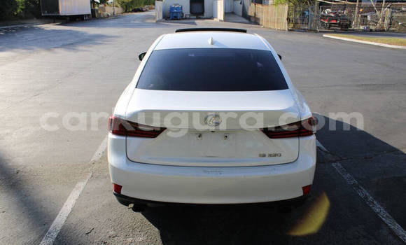 Buy Used Lexus IS White Car in Gitega in Burundi Buy Used Lexus IS White Car in Gitega in Burundi