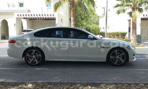 Nunua Ilio tumika Jaguar XF Nyeupe Gari ndani ya Gitega nchini Burundi Nunua Ilio tumika Jaguar XF Nyeupe Gari ndani ya Gitega nchini Burundi