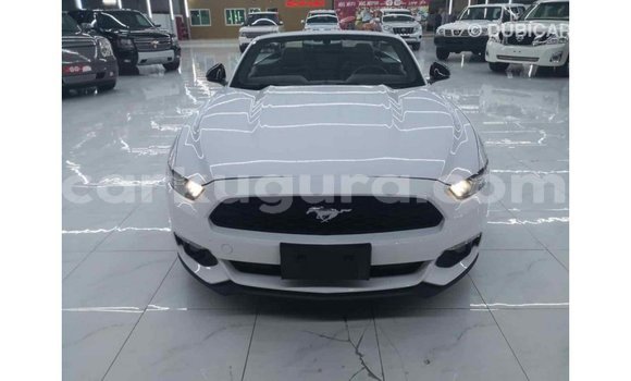Nunua Imported Ford Mustang Nyeupe Gari ndani ya Import - Dubai nchini Bujumbura Nunua Imported Ford Mustang Nyeupe Gari ndani ya Import - Dubai nchini Bujumbura