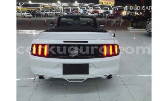 Nunua Imported Ford Mustang Nyeupe Gari ndani ya Import - Dubai nchini Bujumbura Nunua Imported Ford Mustang Nyeupe Gari ndani ya Import - Dubai nchini Bujumbura