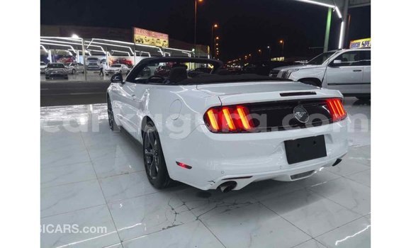 Nunua Imported Ford Mustang Nyeupe Gari ndani ya Import - Dubai nchini Bujumbura Nunua Imported Ford Mustang Nyeupe Gari ndani ya Import - Dubai nchini Bujumbura