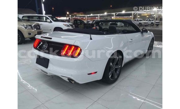 Nunua Imported Ford Mustang Nyeupe Gari ndani ya Import - Dubai nchini Bujumbura Nunua Imported Ford Mustang Nyeupe Gari ndani ya Import - Dubai nchini Bujumbura