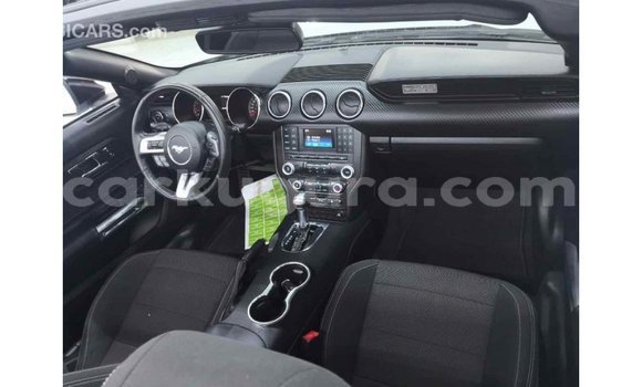 Nunua Imported Ford Mustang Nyeupe Gari ndani ya Import - Dubai nchini Bujumbura Nunua Imported Ford Mustang Nyeupe Gari ndani ya Import - Dubai nchini Bujumbura