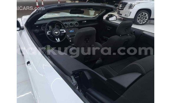 Nunua Imported Ford Mustang Nyeupe Gari ndani ya Import - Dubai nchini Bujumbura Nunua Imported Ford Mustang Nyeupe Gari ndani ya Import - Dubai nchini Bujumbura