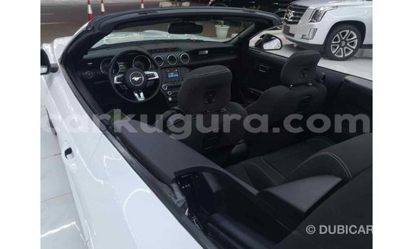 Nunua Imported Ford Mustang Nyeupe Gari ndani ya Import - Dubai nchini Bujumbura Nunua Imported Ford Mustang Nyeupe Gari ndani ya Import - Dubai nchini Bujumbura