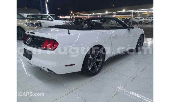 Acheter Import Voiture Ford Mustang Blanc à Import - Dubai, Bujumbura