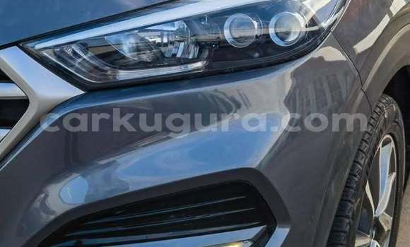 Acheter Occasion Voiture Hyundai Tucson Bleu à Gitega, Burundi Acheter Occasion Voiture Hyundai Tucson Bleu à Gitega, Burundi