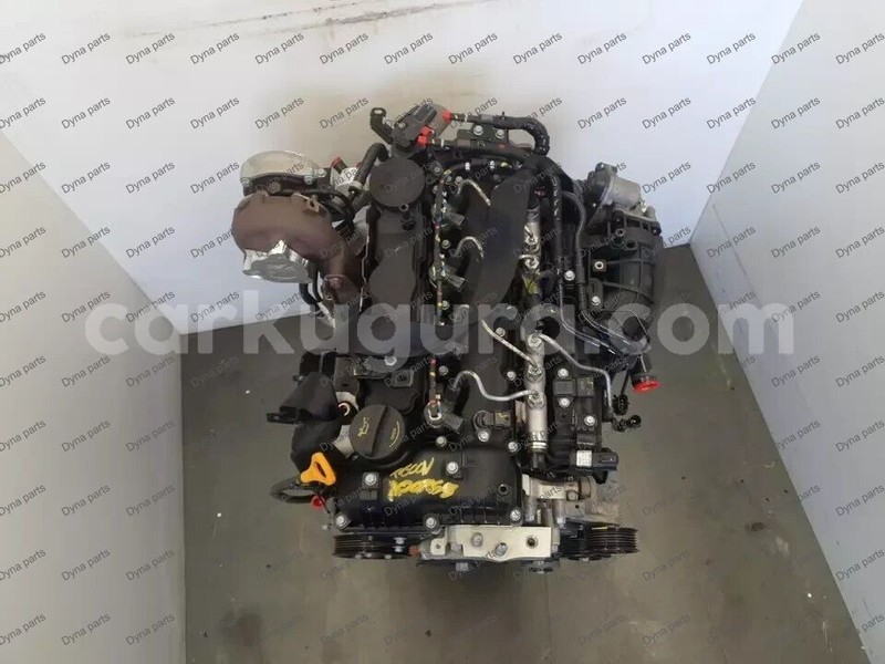 Big with watermark 4