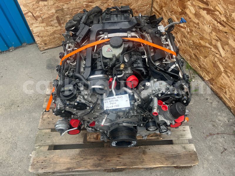 Big with watermark a