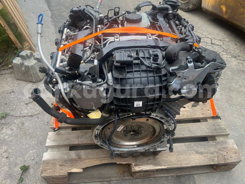 Big with watermark e