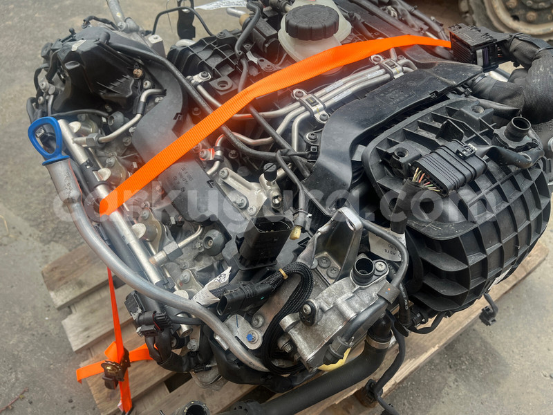 Big with watermark f