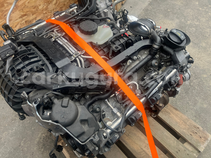 Big with watermark g