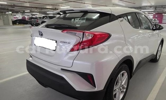 Buy Used Toyota C-HR White Car in Bujumbura in Bujumbura Buy Used Toyota C-HR White Car in Bujumbura in Bujumbura