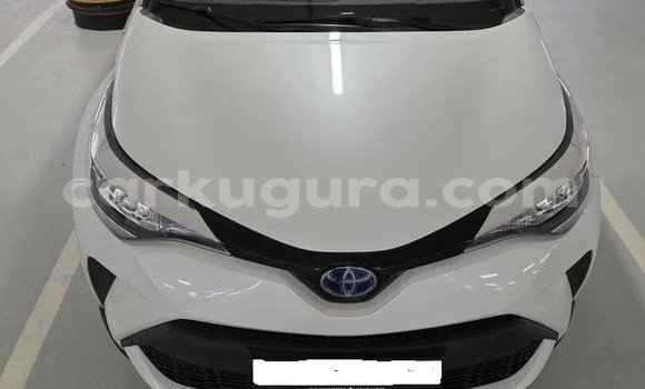 Buy Used Toyota C-HR White Car in Bujumbura in Bujumbura Buy Used Toyota C-HR White Car in Bujumbura in Bujumbura