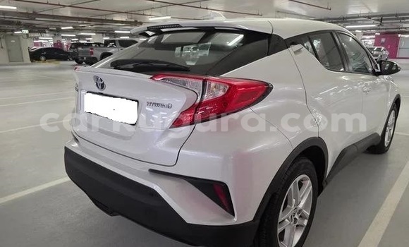 Buy Used Toyota C-HR White Car in Bujumbura in Bujumbura Buy Used Toyota C-HR White Car in Bujumbura in Bujumbura