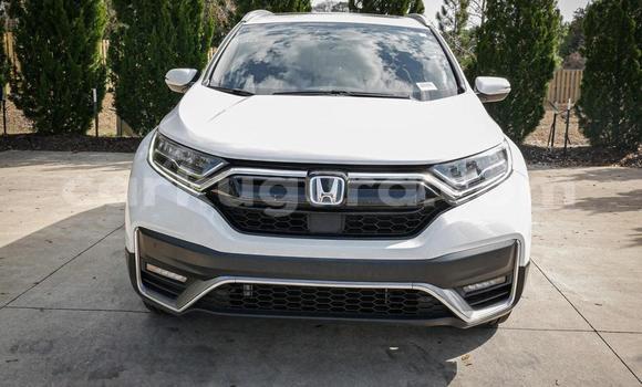 Buy Used Honda CR–V White Car in Bujumbura in Bujumbura Buy Used Honda CR–V White Car in Bujumbura in Bujumbura