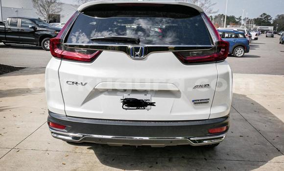 Buy Used Honda CR–V White Car in Bujumbura in Bujumbura Buy Used Honda CR–V White Car in Bujumbura in Bujumbura