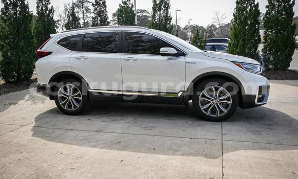 Buy Used Honda CR–V White Car in Bujumbura in Bujumbura Buy Used Honda CR–V White Car in Bujumbura in Bujumbura