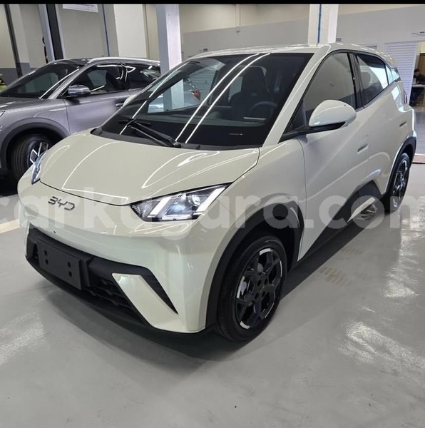 Big with watermark byd seagull bujumbura bujumbura 6522