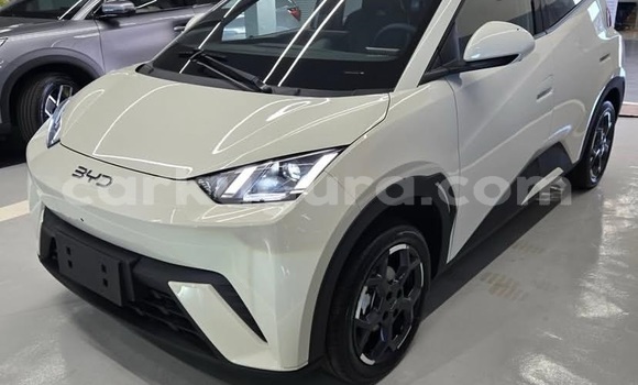 Acheter Occasion Voiture BYD Seagull Blanc à Bujumbura, Bujumbura