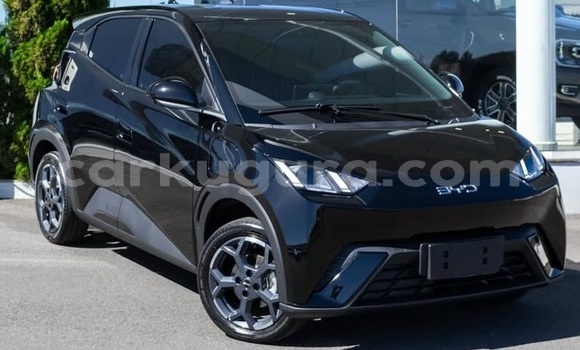 Buy Used BYD Seagull White Car in Bujumbura in Bujumbura Buy Used BYD Seagull White Car in Bujumbura in Bujumbura