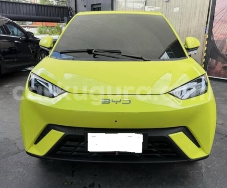 Big with watermark byd seagull bujumbura bujumbura 6522