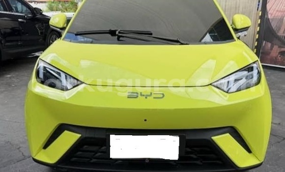 Buy Used BYD Seagull White Car in Bujumbura in Bujumbura Buy Used BYD Seagull White Car in Bujumbura in Bujumbura