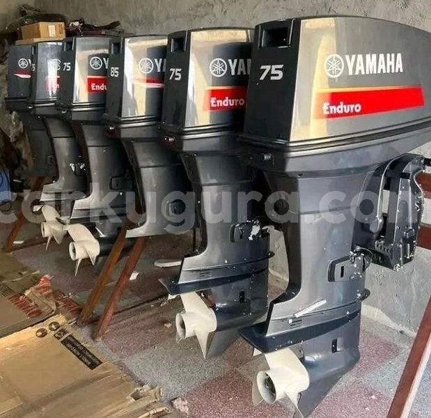 Big with watermark 75