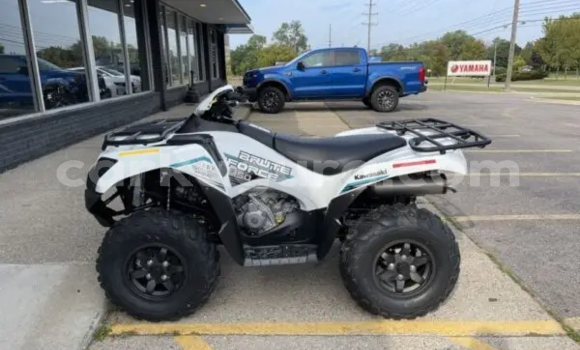 Acheter Occasion Moto Kawasaki Brute Force Blanc à Makamba, Burundi