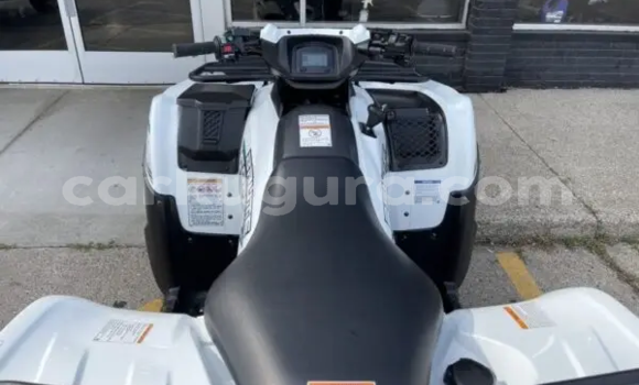 Acheter Neuf Moto Kawasaki Brute Force Blanc à Makamba, Burundi Acheter Neuf Moto Kawasaki Brute Force Blanc à Makamba, Burundi