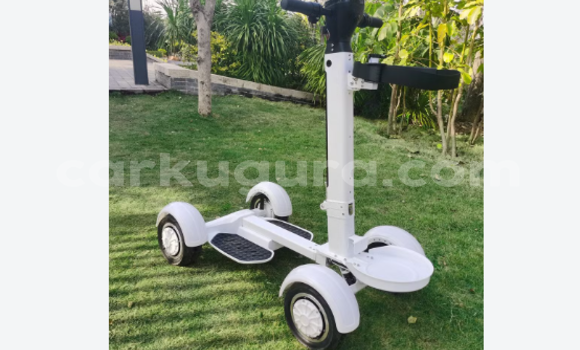 EcoRider G2 Skateboard