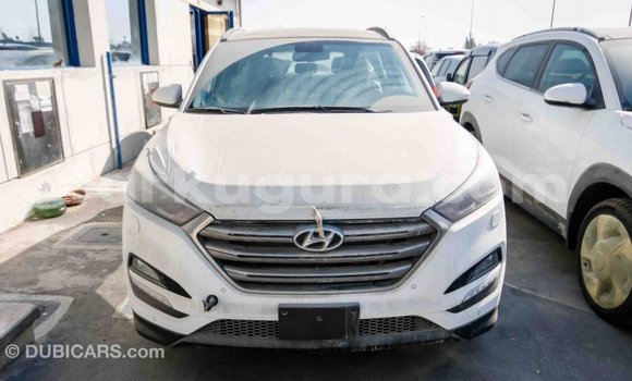 Acheter Import Voiture Hyundai Tucson Blanc à Import - Dubai, Bujumbura Acheter Import Voiture Hyundai Tucson Blanc à Import - Dubai, Bujumbura