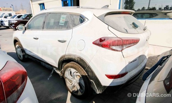 Acheter Import Voiture Hyundai Tucson Blanc à Import - Dubai, Bujumbura Acheter Import Voiture Hyundai Tucson Blanc à Import - Dubai, Bujumbura