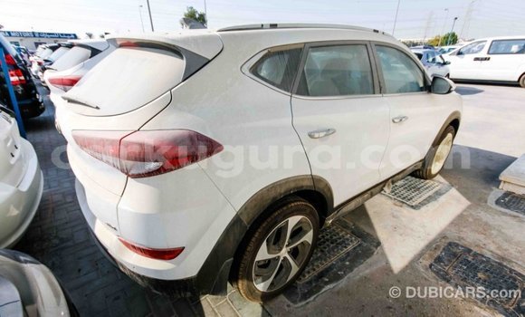 Acheter Import Voiture Hyundai Tucson Blanc à Import - Dubai, Bujumbura Acheter Import Voiture Hyundai Tucson Blanc à Import - Dubai, Bujumbura