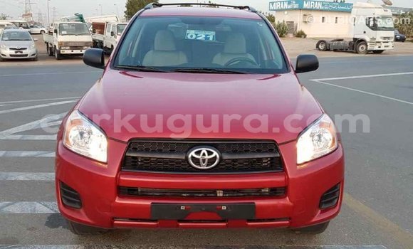 Nunua Imported Toyota RAV4 Nyekundu Gari ndani ya Import - Dubai nchini Bujumbura Nunua Imported Toyota RAV4 Nyekundu Gari ndani ya Import - Dubai nchini Bujumbura