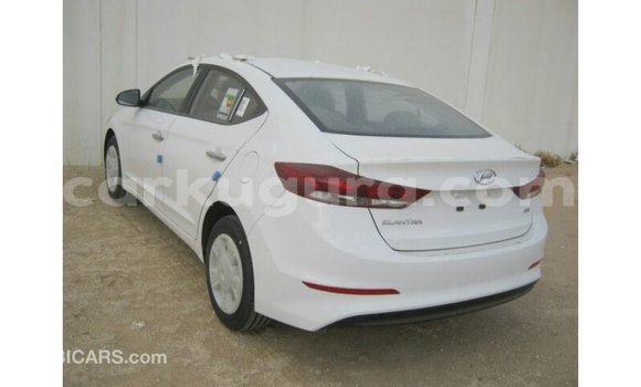 Acheter Import Voiture Hyundai Elantra Blanc à Import - Dubai, Bujumbura