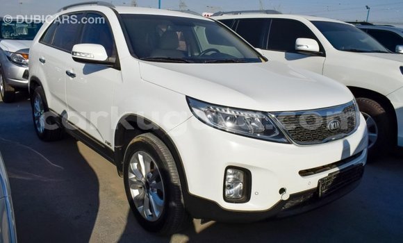 Buy Import Kia Sorento White Car in Import - Dubai in Bujumbura Buy Import Kia Sorento White Car in Import - Dubai in Bujumbura