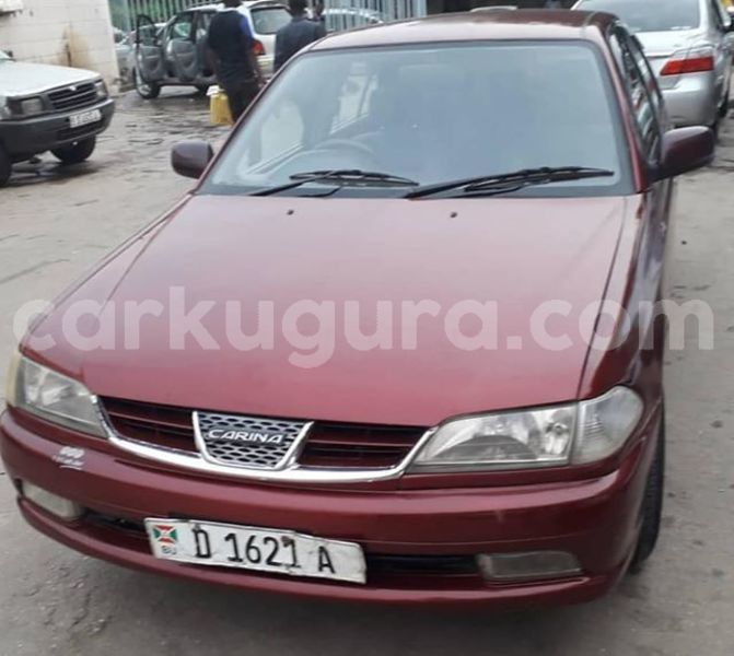 Big with watermark 56537481 2452943938260893 4215108752862347264 n