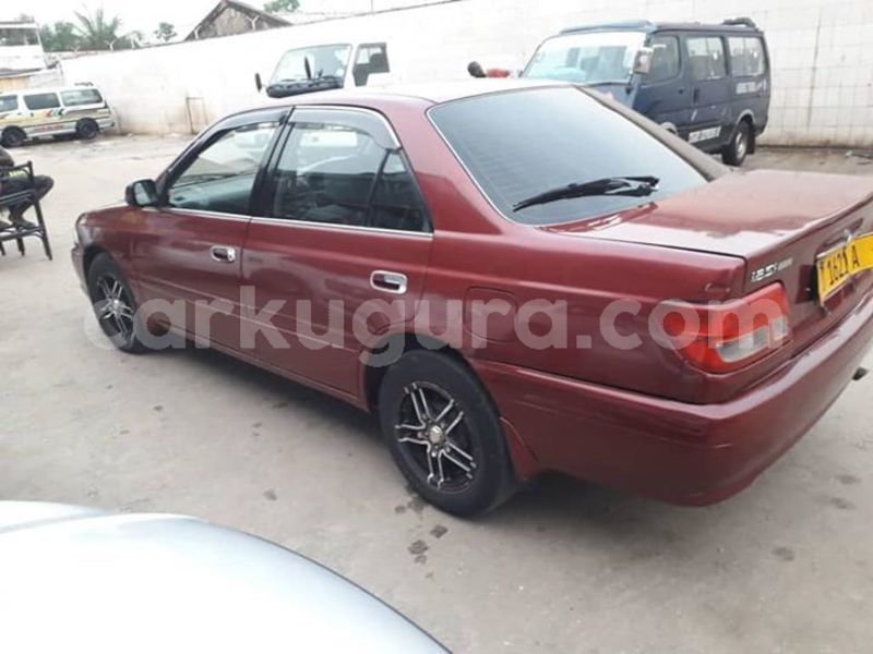 Big with watermark 56551707 2452943851594235 3605974260192903168 n