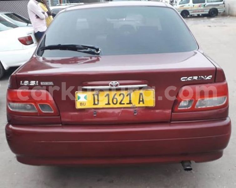 Big with watermark 56913335 2452943688260918 796766242143731712 n