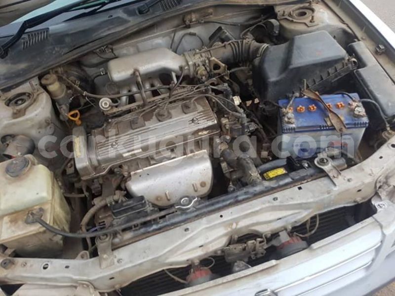 Big with watermark 56225998 2451756285046325 2910945309276241920 n