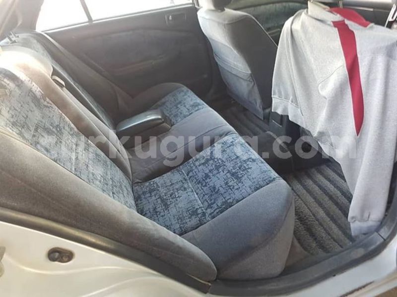 Big with watermark 56189829 2451756205046333 5124974132588445696 n